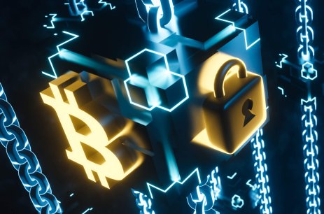 Bitcoin Password Manager Guide